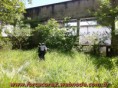 /album/galeria-de-fotos/jogo-06fev2011-blp-6-jpg/